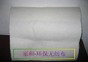 绿色智造 惠州丽新布与家和无纺布创新之路